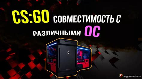 Версия игры и совместимость с ОС