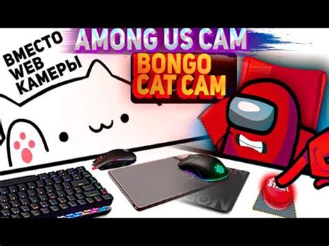 Как настроить Bongo Cat Cam на все клавиши: полное руководство