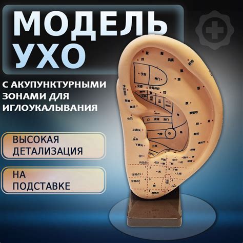 Преимущества иглоукалывания для старших людей