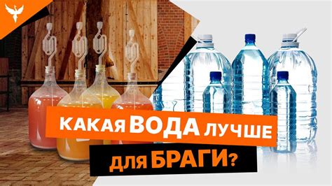 Улучшение качества браги