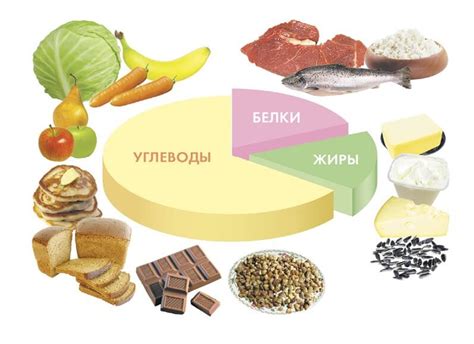 Улучшение пищеварения и питательное воздействие на организм
