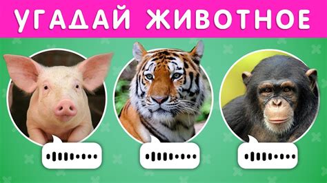 Другие методы повышения громкости звука животных в игре