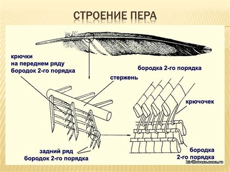 Изготовление опахала