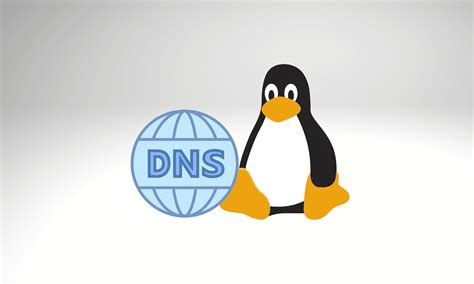 Как определить домен в Linux