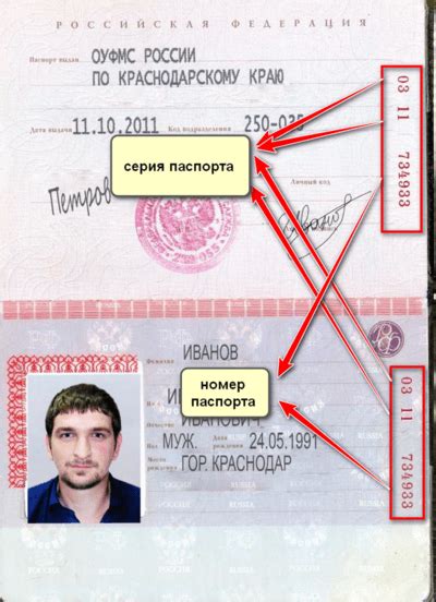 Как узнать серию и номер паспорта на узбекском