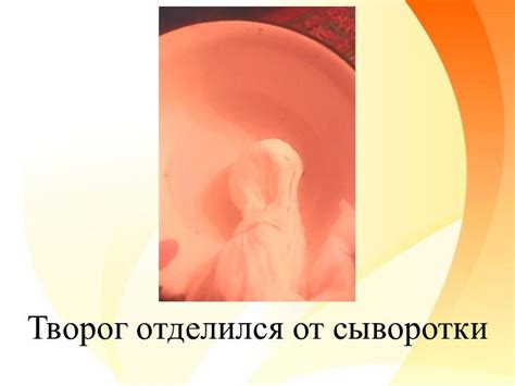 Методы отделения сыворотки от сметаны