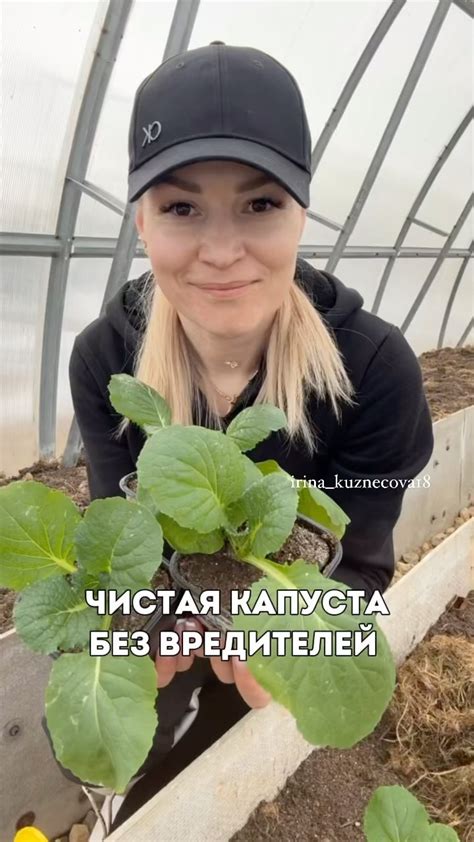 Определение чанка слизней и его значение в Minecraft