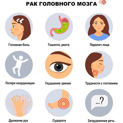 Причины появления шипицы и ее особенности