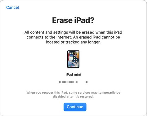 Проверка даты активации через сервис поддержки Apple