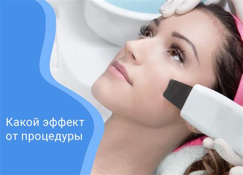 Ультразвуковая чистка лабрадора