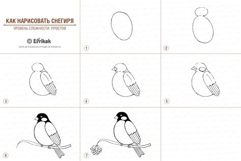 Шаг за шагом: нарисовать вертикальный отрезок